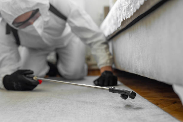 Professional Wasp Control technician working in Montgomery Village, MD